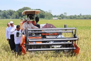 Prabowo hapus utang petani, nelayan, dan UMKM
