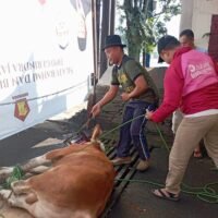 DPD Gerindra Jawa Barat Tebar Kebahagiaan Iduladha 1446 H dengan Kurban 2 Sapi dan 4 Kambing Qurban Idul Adha 1446H