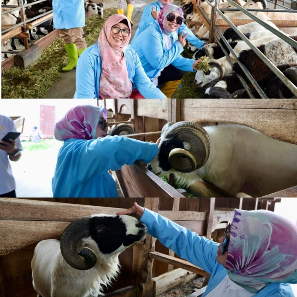 Kunjungan Komisi II bersama Lina Ruslinawati Balai Margawati meninjau area pembibitan ternak