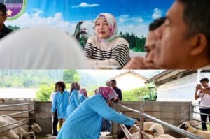 Lina Ruslinawati Balai Margawati melihat fasilitas pengembangan domba dan kambing di Garut