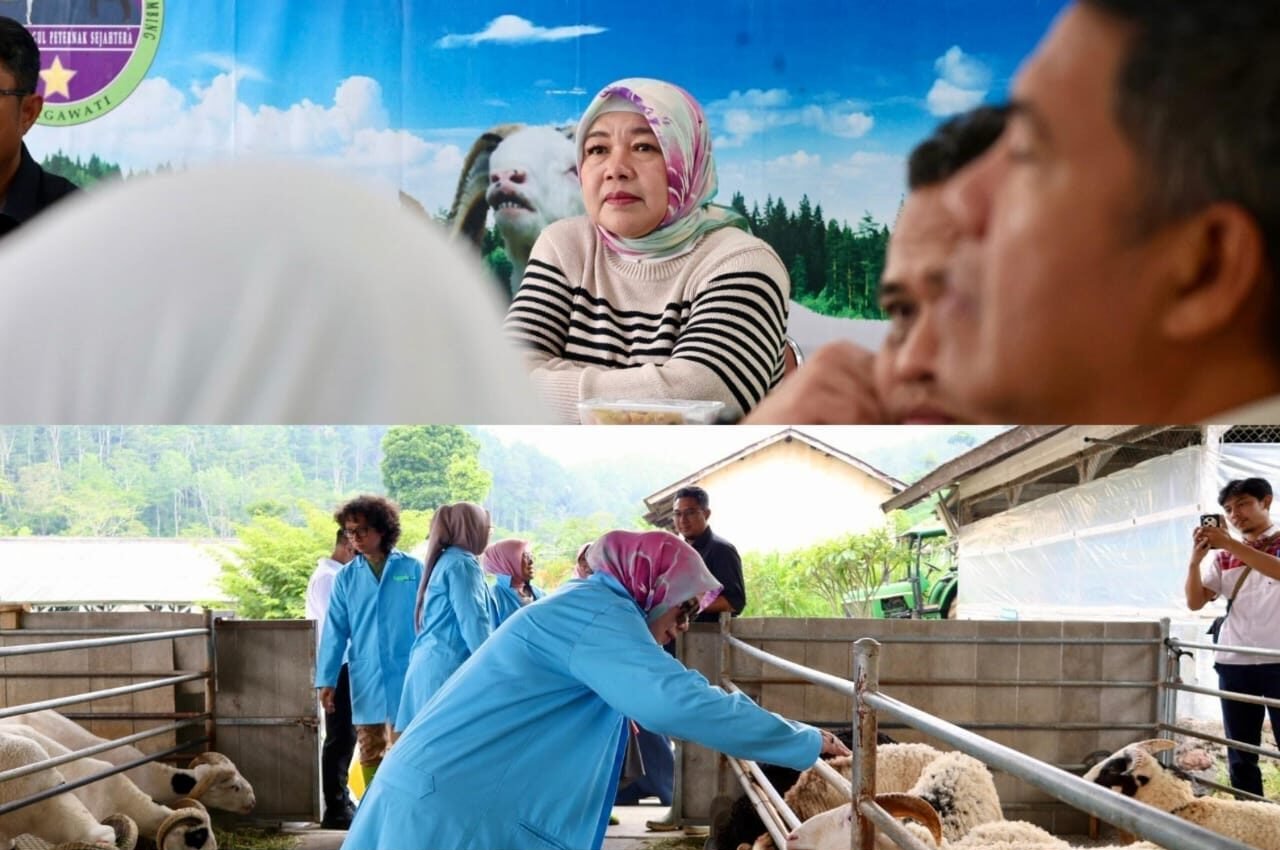 Komisi II Tinjau Balai Margawati, Lina Ruslinawati Fokus Kemandirian Peternakan
