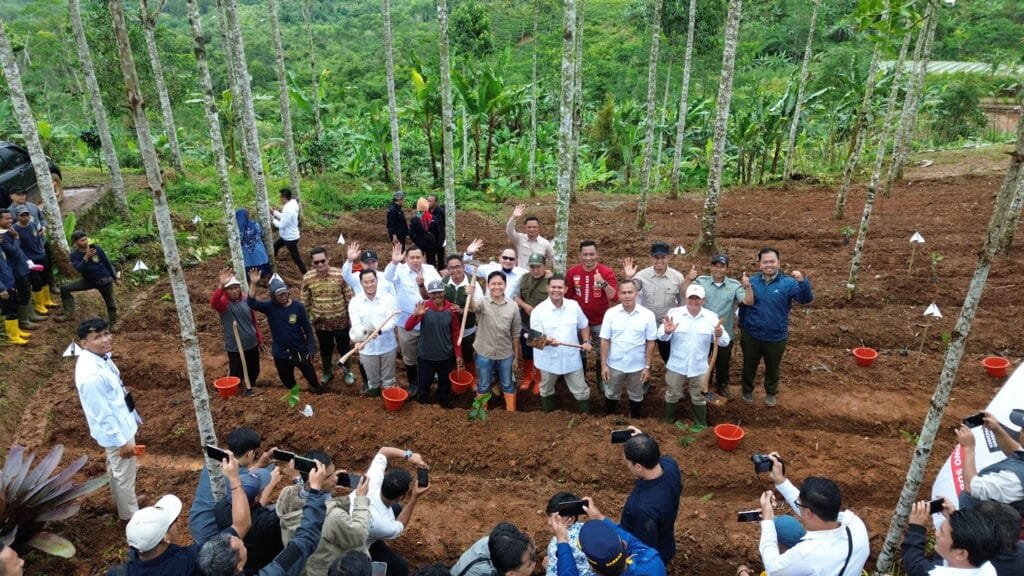 Kolaborasi Gerindra Cianjur dan Pemerintah Kabupaten Cianjur dalam kegiatan penanaman pohon produktif