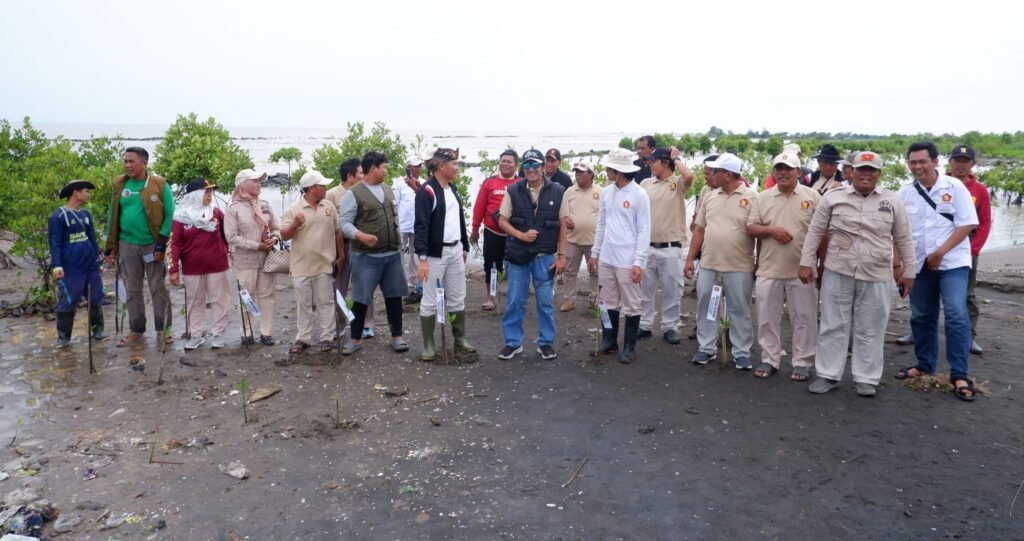 Kader dan pengurus Gerindra Indramayu ikut menanam mangrove di Pantai Banji