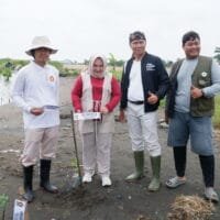Kasan Basari memimpin aksi penanaman mangrove di pesisir Indramayu