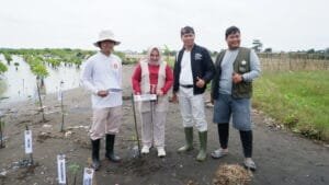Kasan Basari memimpin aksi penanaman mangrove di pesisir Indramayu