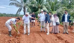 Alt Teks: Gerindra Pangandaran melakukan aksi tanam seribu pohon sebagai wujud kepedulian lingkungan