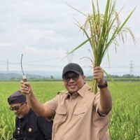 George Edwin Sugiharto menghadiri kegiatan panen raya bersama petani di Desa Karangwareng Kabupaten Cirebon