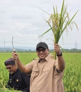 George Edwin Sugiharto menghadiri kegiatan panen raya bersama petani di Desa Karangwareng Kabupaten Cirebon