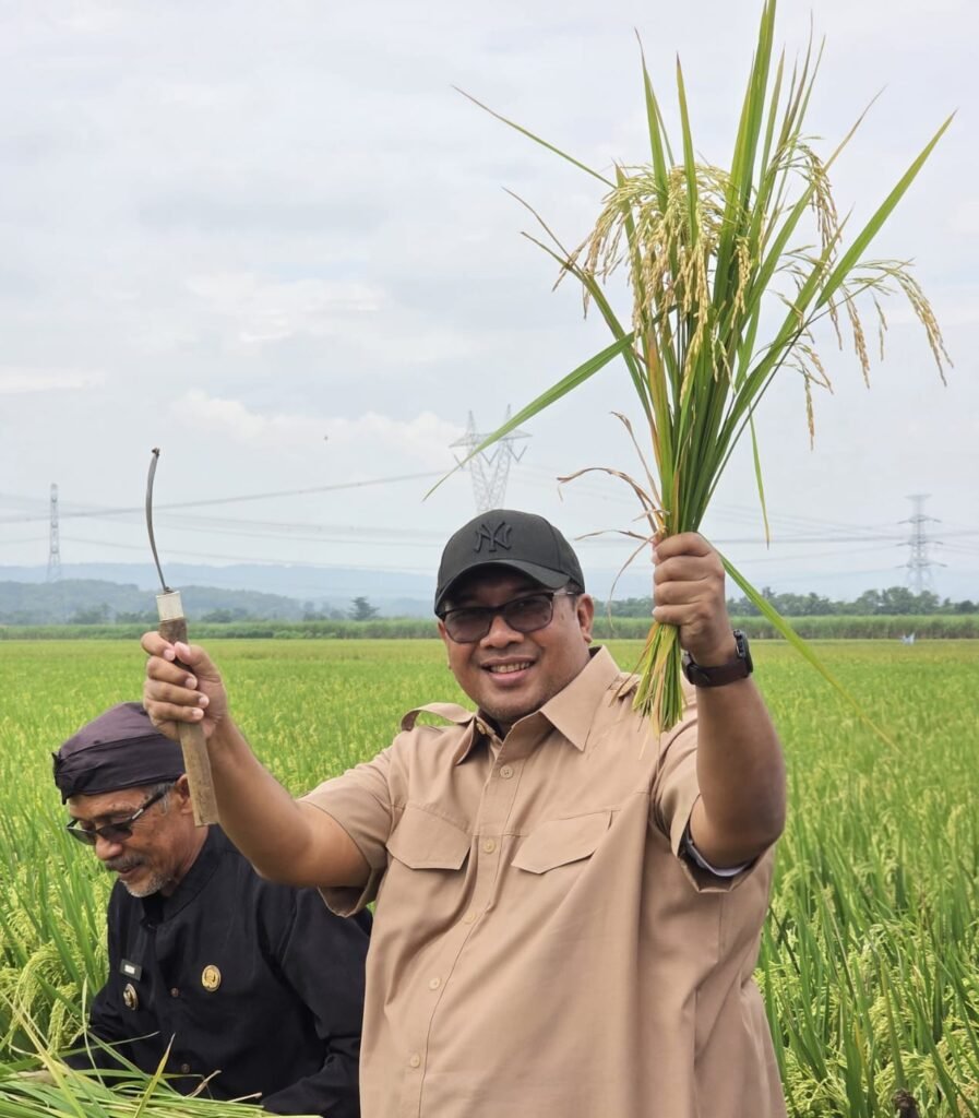 George Edwin Sugiharto menghadiri kegiatan panen raya bersama petani di Desa Karangwareng Kabupaten Cirebon