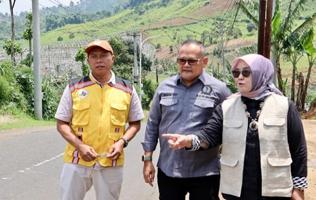 Prasetyawati Tinjau Jalan Provinsi di Garut