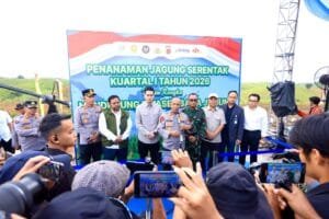 Heri Ukasah Sulaeman menghadiri kegiatan tanam raya jagung di Desa Palabuan Kecamatan Ujungjaya Sumedang