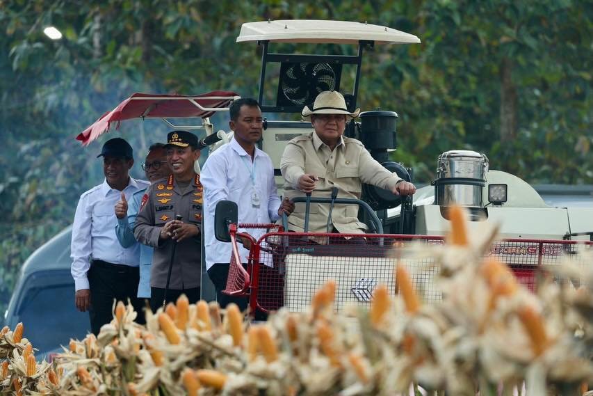 Prabowo Turun Langsung Panen Jagung di Tuban