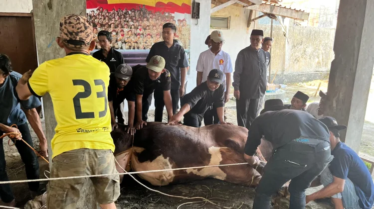 Gerindra Kuningan Laksanakan Penyembelihan Hewan Kurban